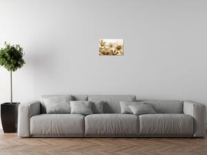 Gario Obraz na plátne Kvetnatá krása Veľkosť: 100 x 70 cm
