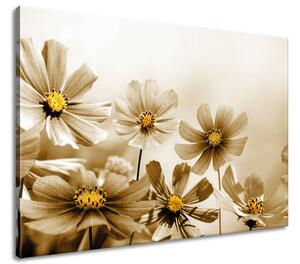 Gario Obraz na plátne Kvetnatá krása Veľkosť: 100 x 70 cm