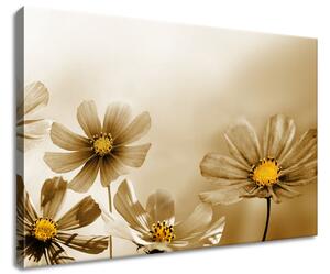 Obraz na plátne Kvetnatá krása Rozmery: 90 x 60 cm
