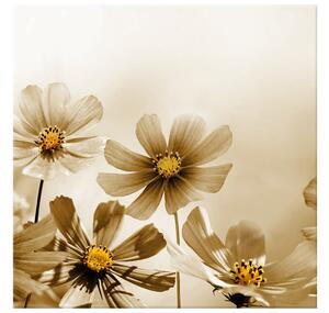 Gario Obraz na plátne Kvetnatá krása Veľkosť: 60 x 50 cm