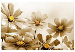 Gario Obraz na plátne Kvetnatá krása Veľkosť: 30 x 20 cm