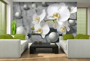 3D Fototapeta Orchidea vlies 416 x 254 cm