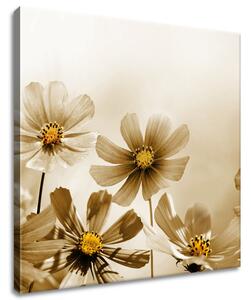 Gario Obraz na plátne Kvetnatá krása Veľkosť: 30 x 20 cm