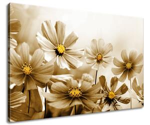 Obraz na plátne Kvetnatá krása Veľkosť: 90 x 60 cm