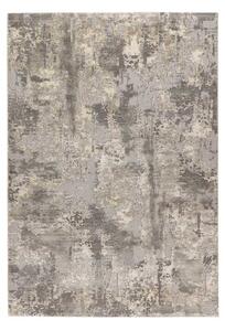 Lalee Kusový koberec Monet 501 Silver Rozmer koberca: 80 x 150 cm