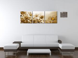Obraz na plátne Kvetnatá krása - 3 dielny Rozmery: 90 x 60 cm