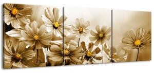 Obraz na plátne Kvetnatá krása - 3 dielny Rozmery: 90 x 60 cm