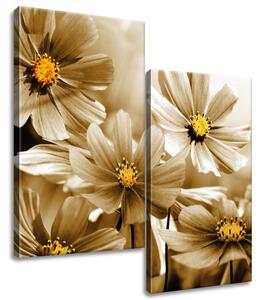 Obraz na plátne Kvetnatá krása - 2 dielny Veľkosť: 60 x 60 cm