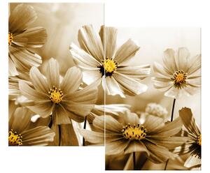 Obraz na plátne Kvetnatá krása - 2 dielny Rozmery: 60 x 60 cm