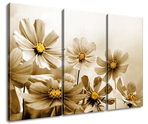 Gario 3 dielny obraz na plátne Kvetnatá krása Veľkosť: 90 x 60 cm