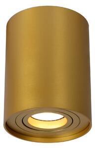 LUCIDE 22952/01/02 TUBE Stropné bodové svietidlo GU10 1x50W matná zlatá/mosadz