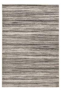 Lalee Kusový koberec Trendy 406 Silver Rozmer koberca: 120 x 170 cm