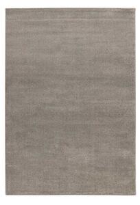 Lalee Kusový koberec Trendy Uni 400 Silver Rozmer koberca: 160 x 230 cm