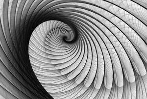 Fototapeta Grey Snail papier 254 x 184 cm