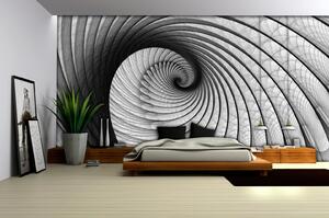 Fototapeta Grey Snail papier 254 x 184 cm