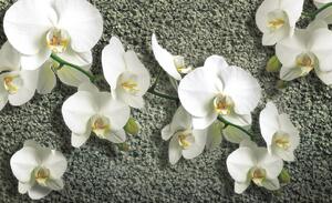 Fototapeta Orchid on the structure vlies 104 x 70,5 cm