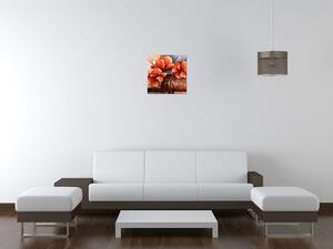 Obraz na plátne Nádherný Vlčí mak Rozmery: 115 x 55 cm