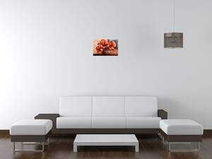 Gario Obraz na plátne Nádherný Vlčí mak Veľkosť: 40 x 30 cm