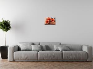 Gario Obraz na plátne Nádherný Vlčí mak Veľkosť: 115 x 55 cm