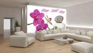 Fototapeta Orchid spa vlies 152,5 x 104 cm