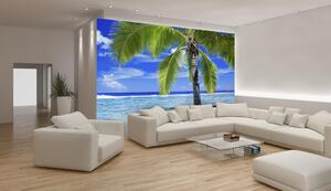 Fototapeta Beach palms and hammock papier 254 x 184 cm