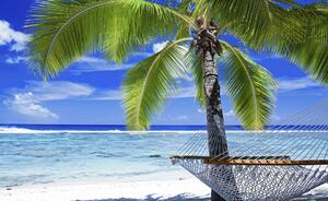 Fototapeta Beach palms and hammock vlies 152,5 x 104 cm