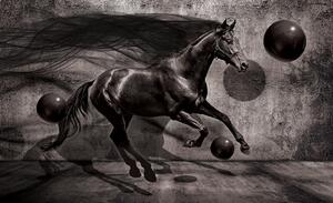 3D Fototapeta Kôň vlies 104 x 70,5 cm