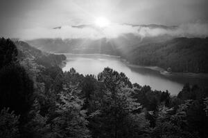 Fototapeta rieka uprostred lesa v čiernobielom prevedení