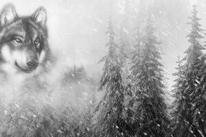 Tapeta čiernobiely vlk v zasneženej krajine