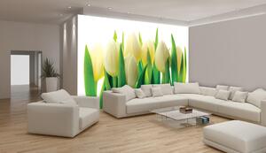 Fototapeta Biele tulipány papier 254 x 184 cm
