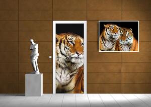 Fototapeta na dvere Tigre vlies 91 x 211 cm