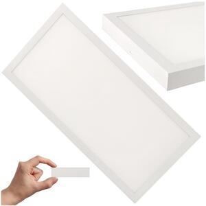 ECOLIGHT Prisadený LED panel 24W biely 60x30cm