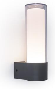 Lutec 5000501118 LED vonkajšie nástenné svietidlo Dropa 1x9,5W | 500lm | 2700-6500K | RGB | IP44 - šedá