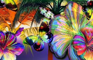 Fototapeta Colorful butterflies vlies 208 x 146 cm