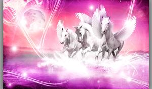 Fototapeta Pink Running Pegasus vlies 104 x 70,5 cm