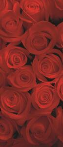 Fototapeta na dvere Red roses vlies 91 x 211 cm