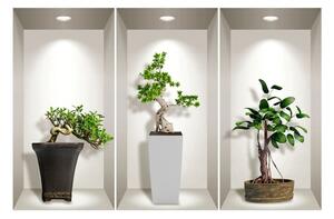 Súprava 3 3D samolepiek na stenu Ambiance Bonsai Plants