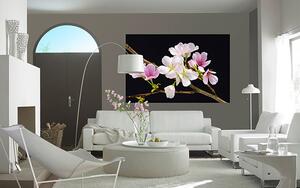 Fototapety na stenu Cherry Blossoms F627