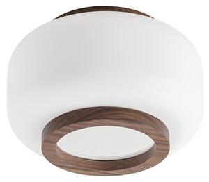 Stropné Lampa Quitani, Shiro, stmievateľné, Biela, Obývacia izba, Sklo, Dizajnový