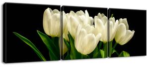 Gario Obraz na plátne Biele tulipány - Mark Freeth Veľkosť: 90 x 30 cm