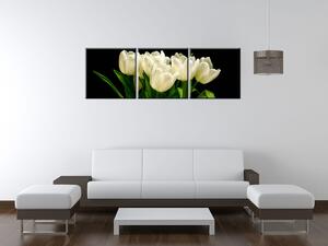 Obraz na plátne Biele tulipány, Mark Freeth - 3 dielny Veľkosť: 90 x 30 cm