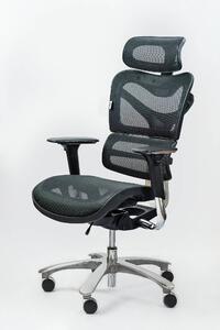 Ergonomická stolička Spinergo MANGER