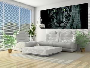 Fototapeta panoramatická vliesová Tigers