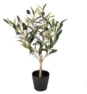 Dekorácia umelý olivovník s olivami - 15*15*50 cm - Clayre & Eef
