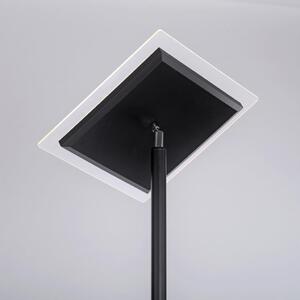 STOJACIA LED LAMPA, 56/57,5/190 cm - Série svietidiel