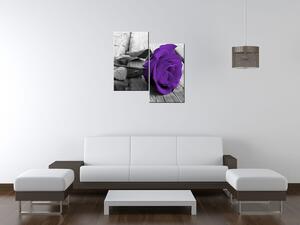 Gario 2 dielny obraz na plátne Fialové lupene ruže Veľkosť: 60 x 60 cm