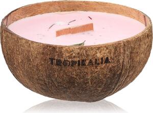 Tropicandle Frozen Cranberry vonná sviečka s dreveným knotom 350 ml