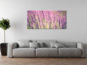 Obraz na plátne Krásne levandule Rozmery: 30 x 30 cm