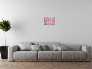 Obraz na plátne Krásne levandule Rozmery: 30 x 30 cm