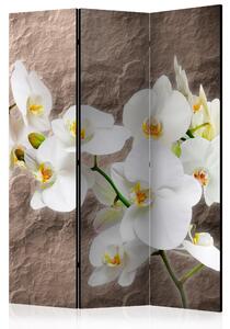 Artgeist Paraván - Impeccability of the Orchid [Room Dividers]